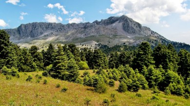 %ce%be%ce%b5%cf%81%ce%bf%ce%b2%ce%bf%cf%85%ce%bd%ce%b9