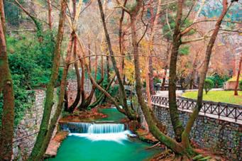 assets_large_t_420_2275289_type13145